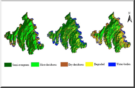 Network Image 1