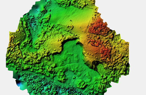 Network Image 1
